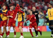 爱游戏入口-丹麦队在比赛中获得胜利，晋级半决赛