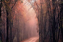 爱游戏网页版-欧预赛抢眼表现，备战如何？