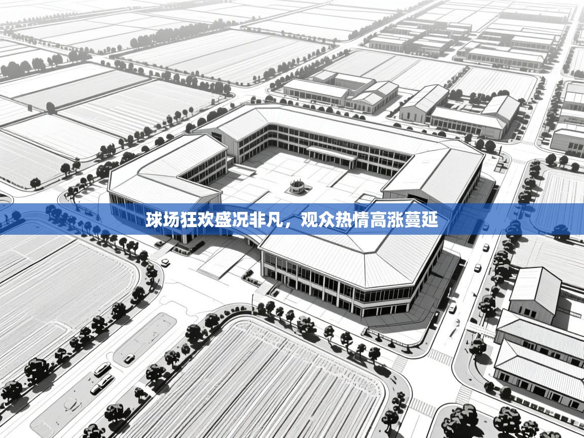 球场狂欢盛况非凡，观众热情高涨蔓延  第2张